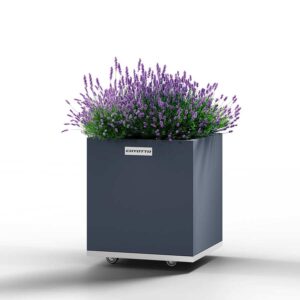 Coyotto - Teräs Neliö istutusallas - 40cm x 40cm x 50cm